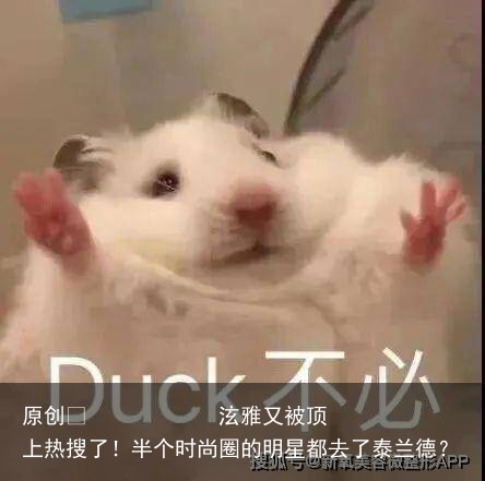 泫雅又被顶上热搜了！半个时尚圈的明星都去了泰兰德？