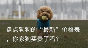 盘点狗狗的“最新”价格表，你家狗买贵了吗？