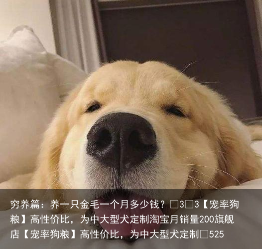 穷养篇：养一只金毛一个月多少钱？