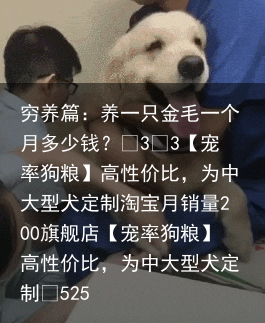 穷养篇：养一只金毛一个月多少钱？
