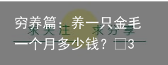 穷养篇：养一只金毛一个月多少钱？
