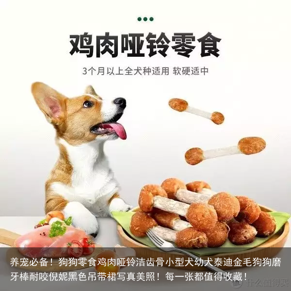 养宠必备！狗狗零食鸡肉哑铃洁齿骨小型犬幼犬泰迪金毛狗狗磨牙棒耐咬