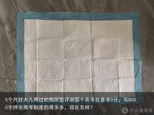 5个月好大儿用过的狗尿垫评测那个高考故意考0分，写8000字抨击高考制度的蒋多多，现在怎样？