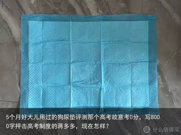 5个月好大儿用过的狗尿垫评测那个高考故意考0分，写8000字抨击高考制度的蒋多多，现在怎样？