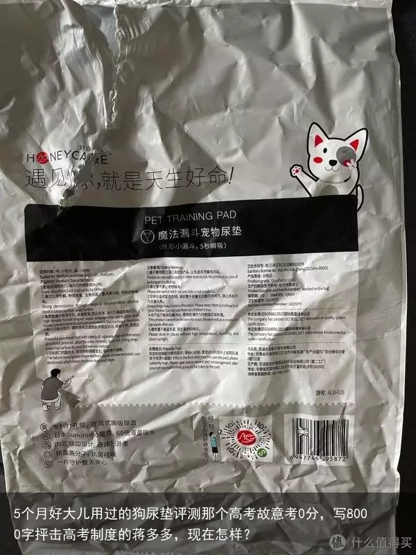 5个月好大儿用过的狗尿垫评测那个高考故意考0分，写8000字抨击高考制度的蒋多多，现在怎样？