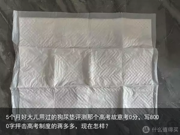 5个月好大儿用过的狗尿垫评测那个高考故意考0分，写8000字抨击高考制度的蒋多多，现在怎样？