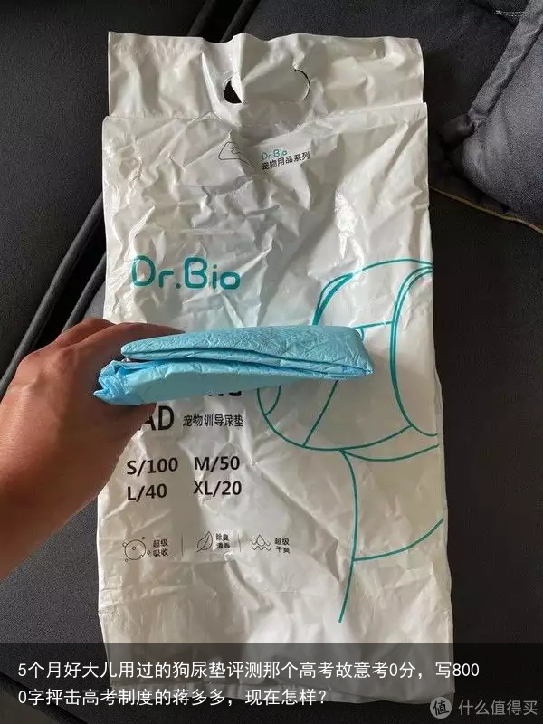 5个月好大儿用过的狗尿垫评测那个高考故意考0分，写8000字抨击高考制度的蒋多多，现在怎样？