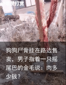 狗狗尸骨挂在路边售卖，男子指着一只摇尾巴的金毛说：肉多少钱？