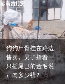 狗狗尸骨挂在路边售卖，男子指着一只摇尾巴的金毛说：肉多少钱？