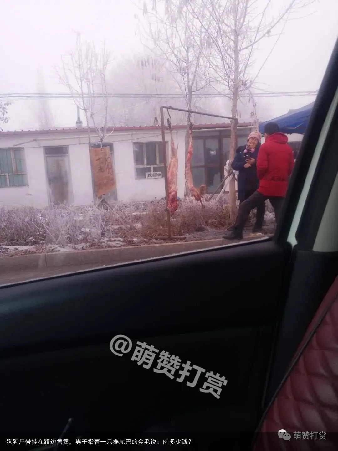 狗狗尸骨挂在路边售卖，男子指着一只摇尾巴的金毛说：肉多少钱？