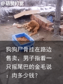 狗狗尸骨挂在路边售卖，男子指着一只摇尾巴的金毛说：肉多少钱？