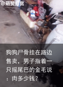 狗狗尸骨挂在路边售卖，男子指着一只摇尾巴的金毛说：肉多少钱？