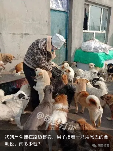 狗狗尸骨挂在路边售卖，男子指着一只摇尾巴的金毛说：肉多少钱？