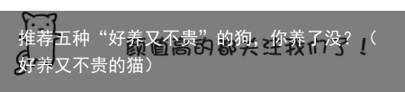 推荐五种“好养又不贵”的狗，你养了没？（好养又不贵的猫）