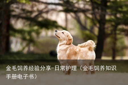 金毛饲养经验分享-日常护理（金毛饲养知识手册电子书）
