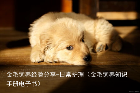 金毛饲养经验分享-日常护理（金毛饲养知识手册电子书）