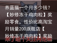 养蓝猫一个月多少钱？（养蓝猫一个月花多少钱一只）