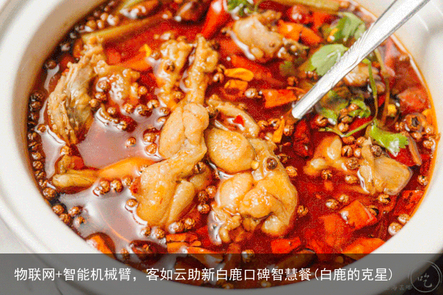 物联网+智能机械臂，客如云助新白鹿口碑智慧餐(白鹿的克星)