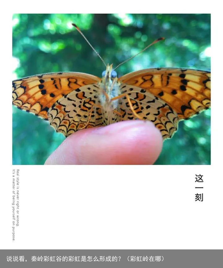 说说看，秦岭彩虹谷的彩虹是怎么形成的？（彩虹岭在哪）