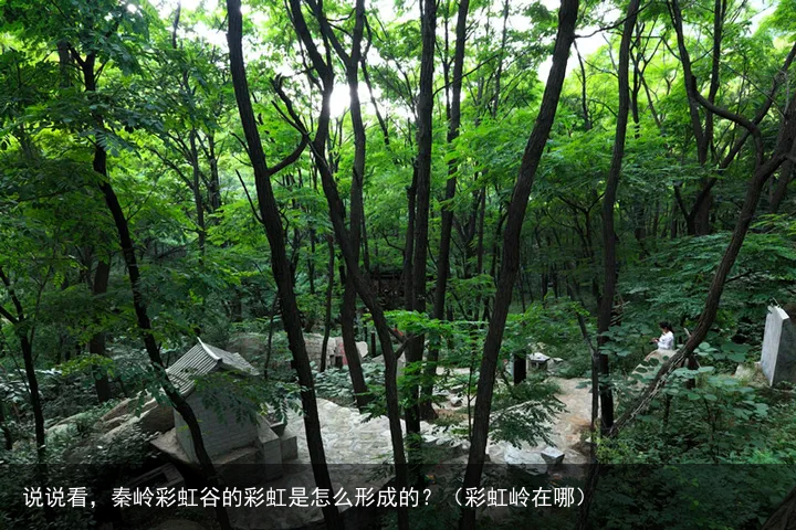 说说看，秦岭彩虹谷的彩虹是怎么形成的？（彩虹岭在哪）