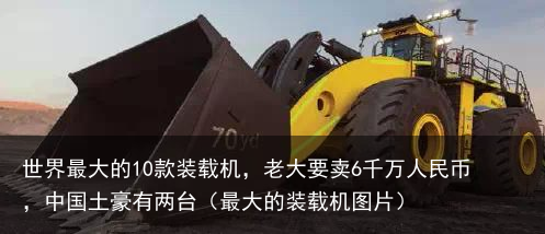 世界最大的10款装载机，老大要卖6千万人民币，中国土豪有两台（最大的装载机图片）