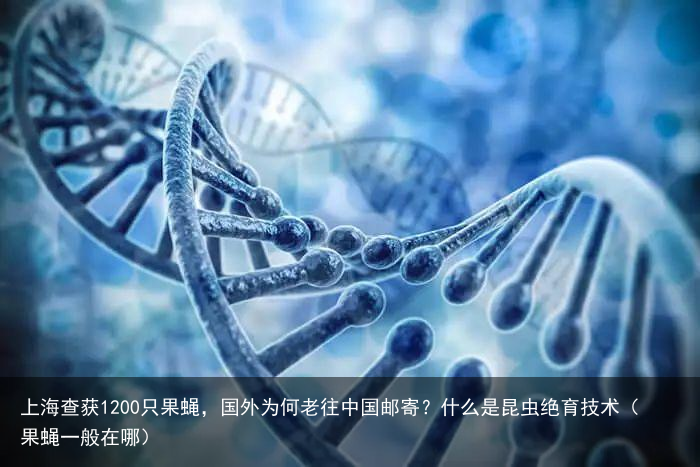 上海查获1200只果蝇，国外为何老往中国邮寄？什么是昆虫绝育技术（果蝇一般在哪）