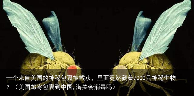 一个来自美国的神秘包裹被截获，里面竟然藏着7000只神秘生物？（美国邮寄包裹到中国,海关会消毒吗）