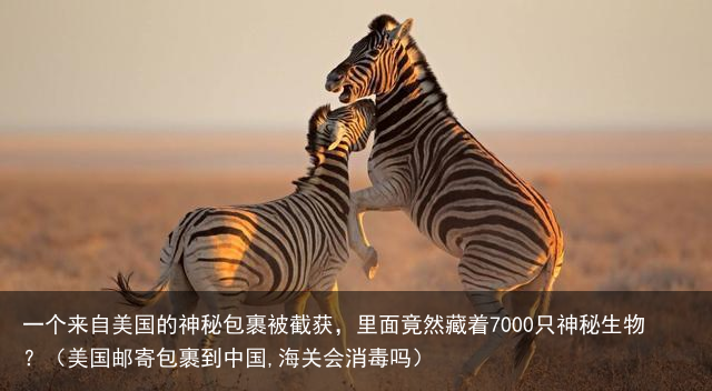 一个来自美国的神秘包裹被截获，里面竟然藏着7000只神秘生物？（美国邮寄包裹到中国,海关会消毒吗）