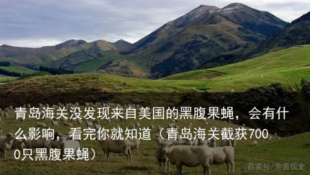 青岛海关没发现来自美国的黑腹果蝇，会有什么影响，看完你就知道（青岛海关截获7000只黑腹果蝇）