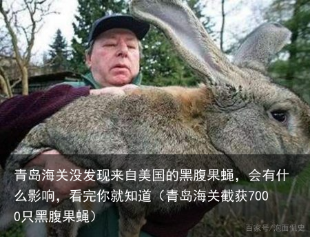 青岛海关没发现来自美国的黑腹果蝇，会有什么影响，看完你就知道（青岛海关截获7000只黑腹果蝇）