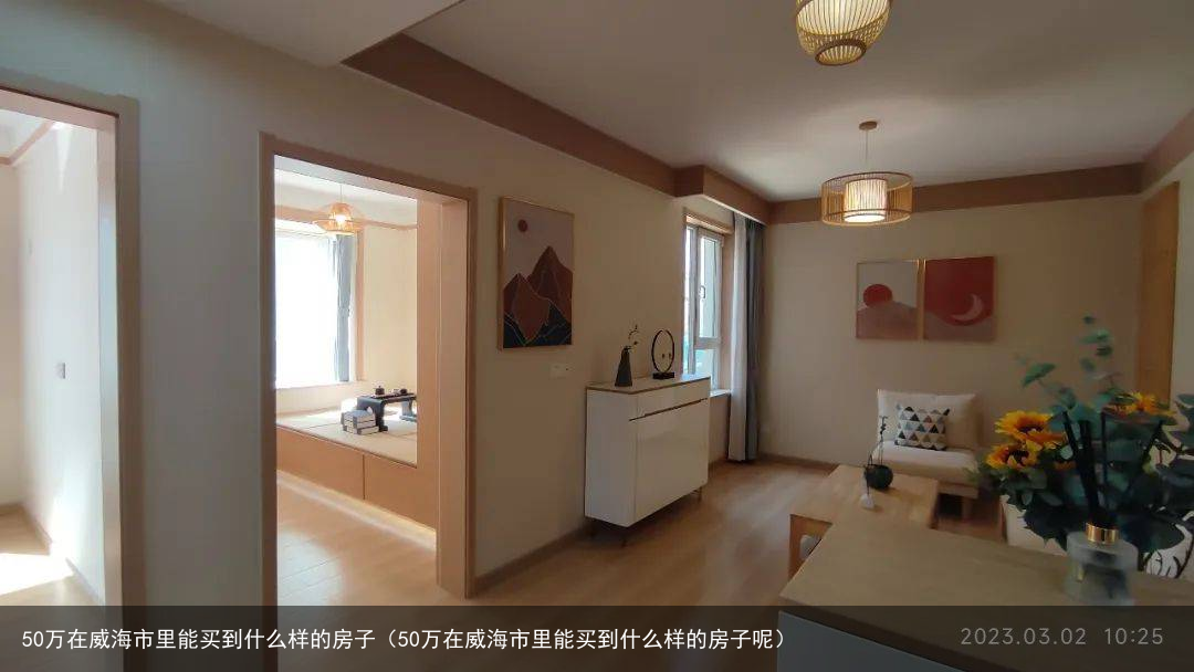 50万在威海市里能买到什么样的房子（50万在威海市里能买到什么样的房子呢）