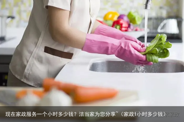 现在家政服务一个小时多少钱？洁当家为您分享~（家政1小时多少钱）