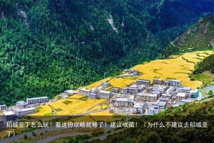 稻城亚丁怎么玩？看这份攻略就够了！建议收藏！（为什么不建议去稻城亚丁）
