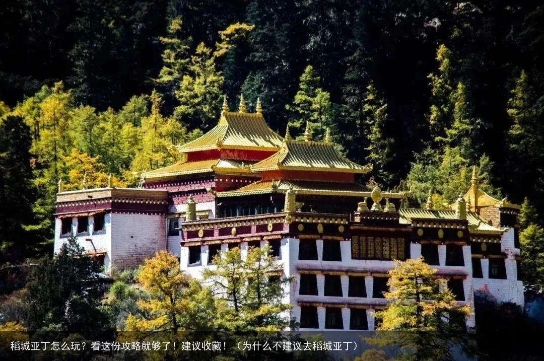 稻城亚丁怎么玩？看这份攻略就够了！建议收藏！（为什么不建议去稻城亚丁）