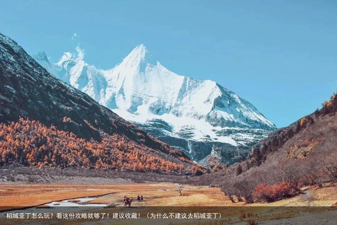 稻城亚丁怎么玩？看这份攻略就够了！建议收藏！（为什么不建议去稻城亚丁）