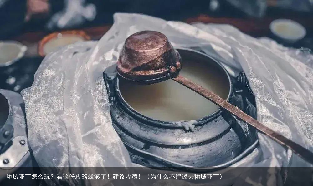 稻城亚丁怎么玩？看这份攻略就够了！建议收藏！（为什么不建议去稻城亚丁）