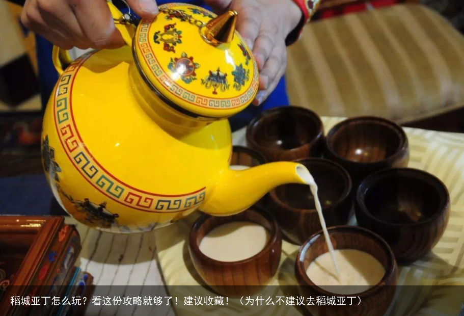 稻城亚丁怎么玩？看这份攻略就够了！建议收藏！（为什么不建议去稻城亚丁）