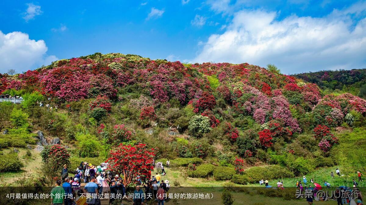 4月最值得去的8个旅行地，不要错过最美的人间四月天（4月最好的旅游地点）
