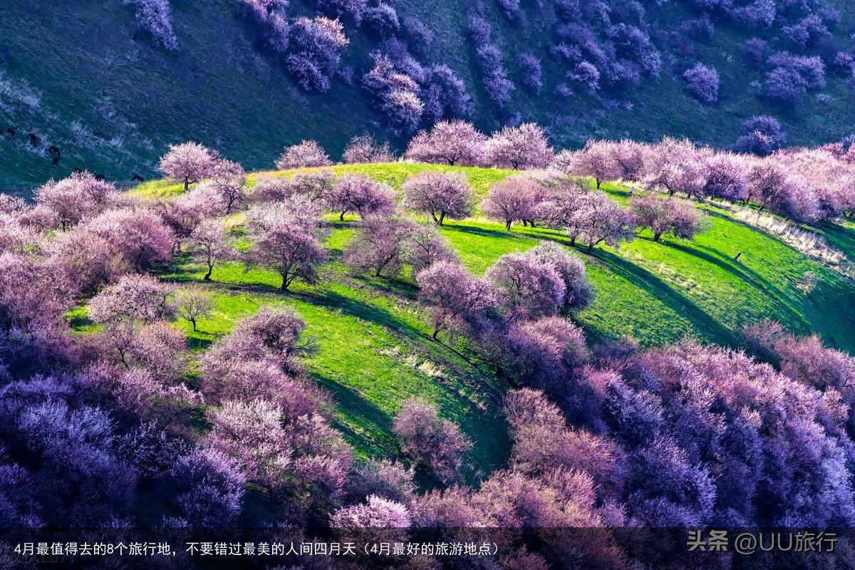 4月最值得去的8个旅行地，不要错过最美的人间四月天（4月最好的旅游地点）