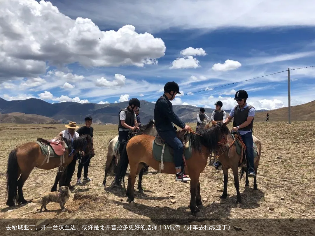 去稻城亚丁，开一台汉兰达，或许是比开普拉多更好的选择｜DA试驾（开车去稻城亚丁）
