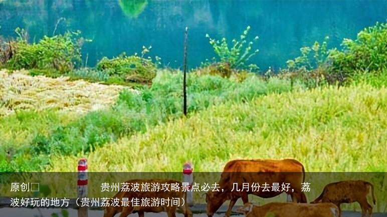 贵州荔波旅游攻略景点必去，几月份去最好，荔波好玩的地方（贵州荔波最佳旅游时间）