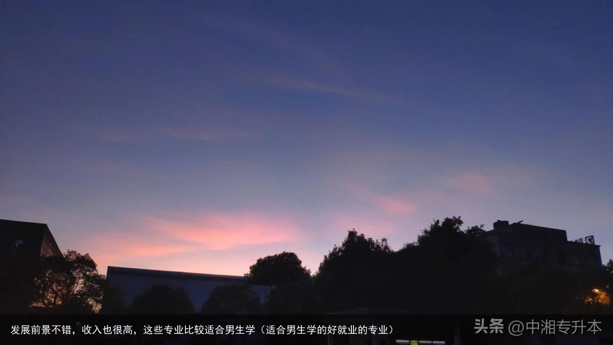 发展前景不错，收入也很高，这些专业比较适合男生学（适合男生学的好就业的专业）