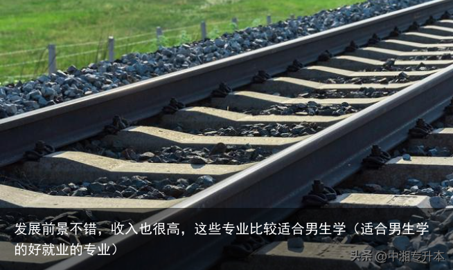 发展前景不错，收入也很高，这些专业比较适合男生学（适合男生学的好就业的专业）