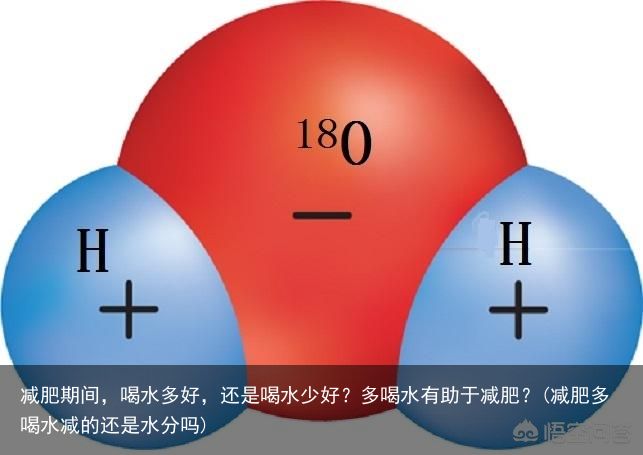 减肥期间，喝水多好，还是喝水少好？多喝水有助于减肥？(减肥多喝水减的还是水分吗)