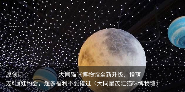 大同猫咪博物馆全新升级，撸萌宠&遛娃约会，超多福利不要错过（大同星茂汇猫咪博物馆）