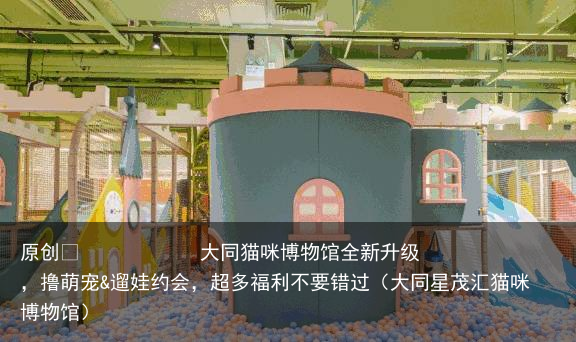 大同猫咪博物馆全新升级，撸萌宠&遛娃约会，超多福利不要错过（大同星茂汇猫咪博物馆）