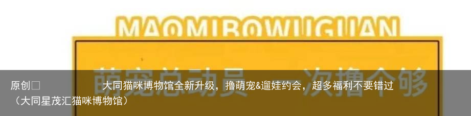 大同猫咪博物馆全新升级，撸萌宠&遛娃约会，超多福利不要错过（大同星茂汇猫咪博物馆）