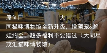 大同猫咪博物馆全新升级，撸萌宠&遛娃约会，超多福利不要错过（大同星茂汇猫咪博物馆）