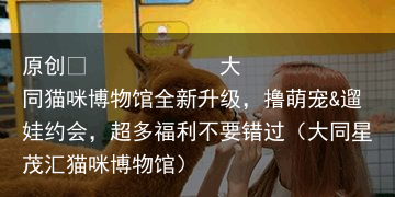 大同猫咪博物馆全新升级，撸萌宠&遛娃约会，超多福利不要错过（大同星茂汇猫咪博物馆）