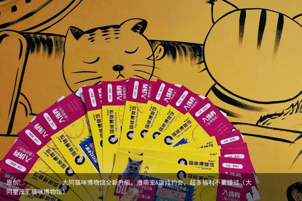 大同猫咪博物馆全新升级，撸萌宠&遛娃约会，超多福利不要错过（大同星茂汇猫咪博物馆）